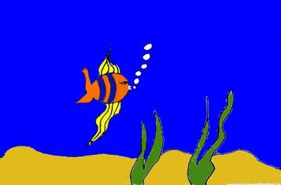 Globe fish